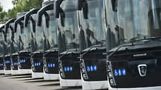 Парк городского общественного транспорта Новосибирска пополнился 50 автобусами