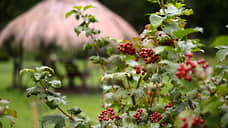 Компания «Сава» реализует туристический проект в Томской области