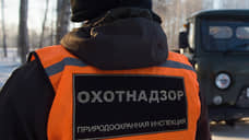 Запрет на весеннюю охоту из-за природных пожаров могут ввести в Новосибирской области