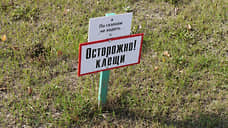 На 40% выросло в Новосибирской области число укусов клещей