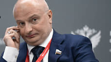 Сенатор Клишас: до принятия закона о животных необходимо проверить траты регионов на их отлов