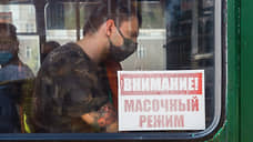На Алтае из-за роста заболеваемости ОРВИ жителям рекомендовали носить маски