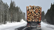 Группа «черных лесорубов» пойдет под суд за вывоз древесины на 79 млн рублей