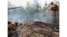 В Красноярском крае горит почти 1 тыс. гектаров леса