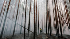 В Туве площадь пожаров увеличилась до 2,5 тысяч гектаров
