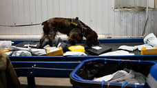 В Толмачево служебная собака нашла в багаже незаконно перевозимые деньги
