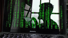 В Новосибирской области за полгода произошло около 20 тысяч кибератак