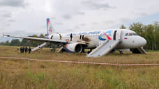 В августе начнут разбирать севший в поле Новосибирской области самолет