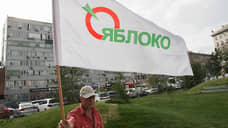 Партия «Яблоко» примет участие в выборах гордумы Томска