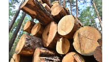 Экспорт древесины из Хакасии с начала 2025 года вырос на 20,4%