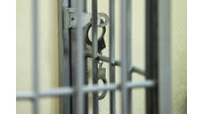 Банду угонщиков машин с автовоза задержали в Новосибирске