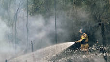 В Красноярском крае виновник лесного пожара заплатит за тушение 900 тысяч рублей