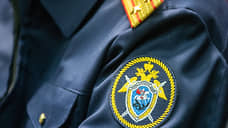 Лишенная родительских прав омичка похитила своего ребенка