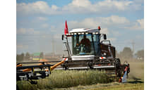 В Алтайском крае аграрии собрали рекордный урожай зерновых