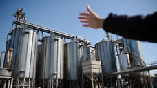 Новосибирская область может вывезти более миллиона тонн зерна урожая 2025 года