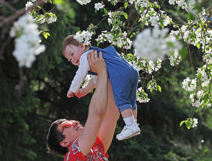 Мужчина играет со своим ребенком на фоне цветущей яблони в одном из скверов в Барнауле
