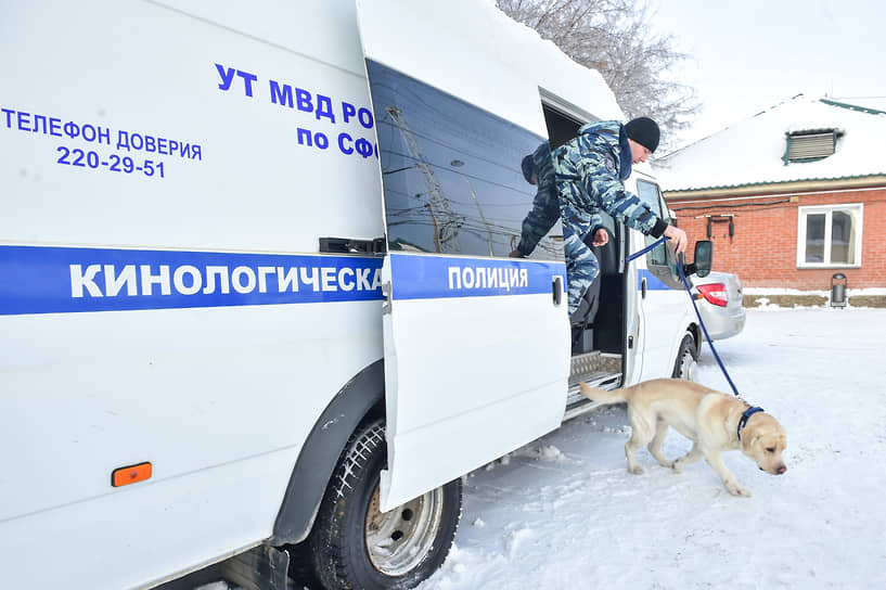 Кинологи каждый день работают с собакой, развивают её служебные качества, а также обучают ориентированию на больших объектах