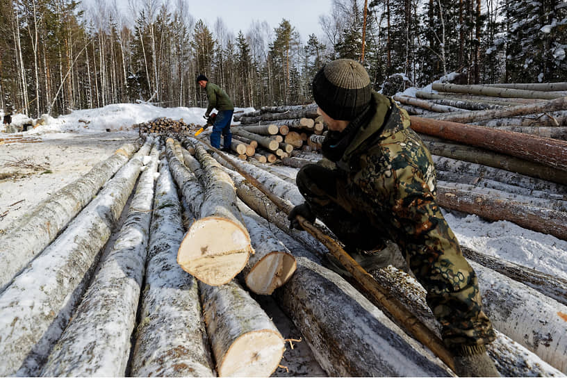 Работа лесозаготовительного предприятия в тайге Томской области. Сотрудники предприятия во время заготовки леса.