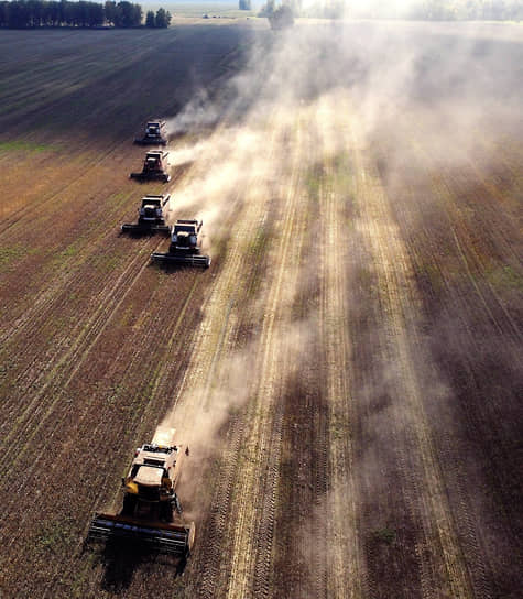 Работа сельскохозяйственного предприятия «Ярковское» в Новосибирской области. Уборка пшеницы комбайнами на поле
