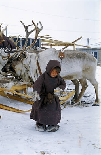 На пастбище оленеводов в Таймырском (Долгано-Ненецком) автономном округе, 2001 год