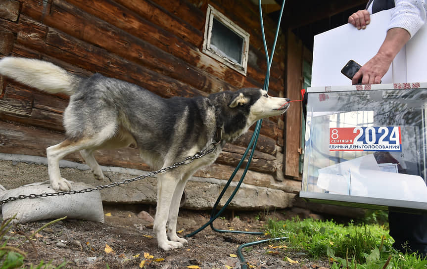 Единый день голосования 2024. Выборы главы Республики Алтай и депутатов в Государственное собрание — Эл Курултай Республики Алтай. Выездное голосование в селе Чоя