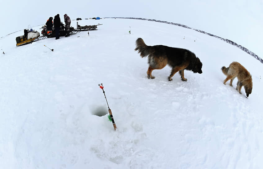Ловля корюшки на реке Енисей в Дудинке, Красноярский край