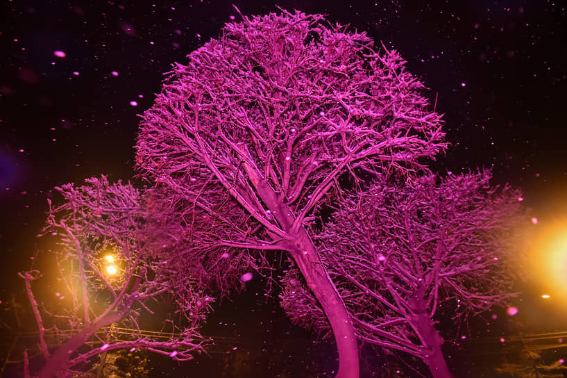 Виды Красноярска во время снегопада