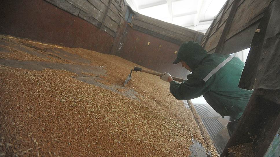 Дефицит урожая подтолкнул зернотрейдеров к активным действиям на рынке