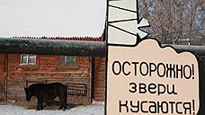 Зоопарное катание