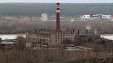 ЗиД режут с головы