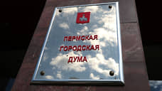 Дума проявила пролетарскую солидарность