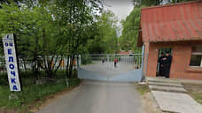 Елочкин спас