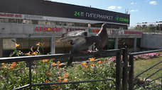 Универсам себе продавец