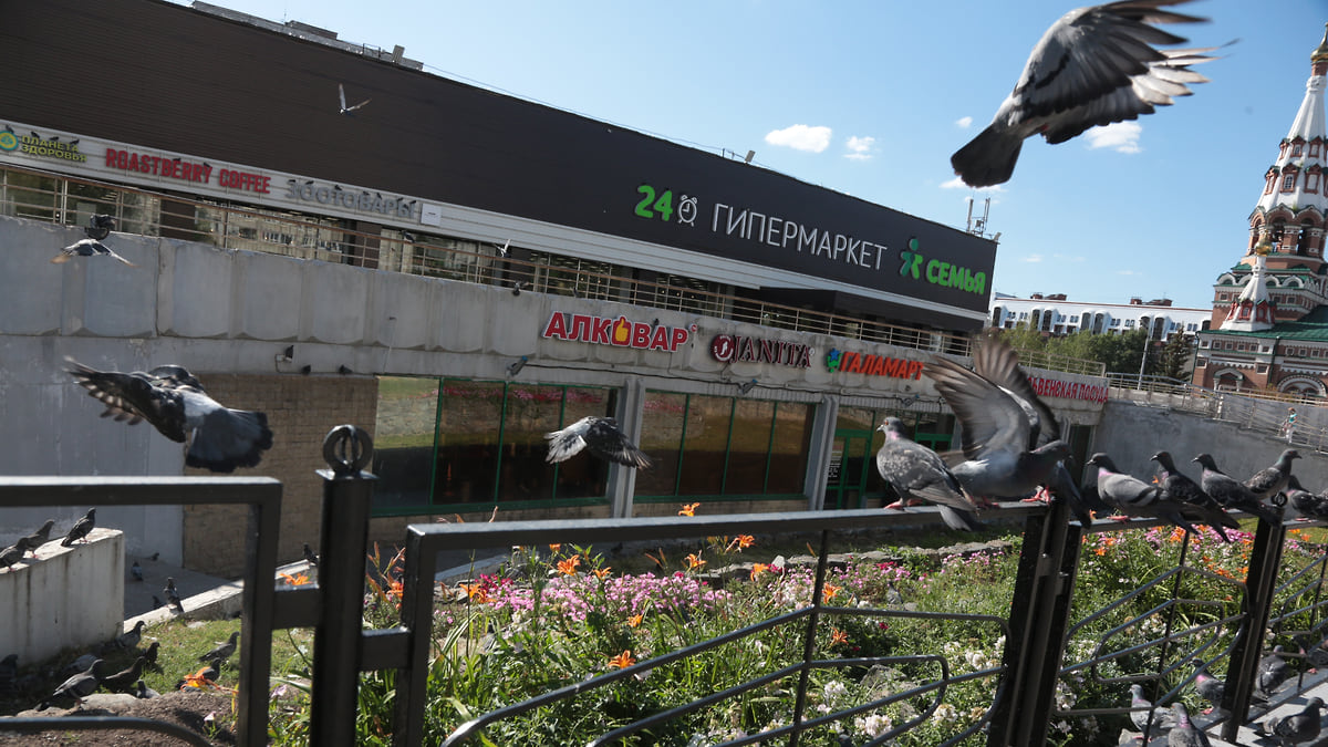 «Универсам» себе режиссер