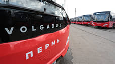 Пермь заняла пятое место в России по количеству новых автобусов