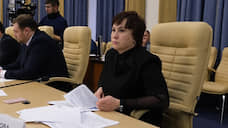 Елена Анисимова представлена главой аппарата