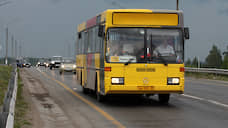 В Пермском крае ограничили межмуниципальные автобусные перевозки