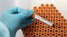 В Прикамье проведено более 250 тыс. тестирований на коронавирус