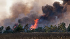 В 27 территориях края введены ограничения из-за угрозы лесных пожаров