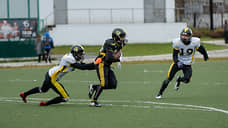 Клубу «Стальные Тигры» будет оказана финансовая поддержка из краевого бюджета