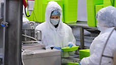 Пермские птицеводы смогут поставлять продукцию в страны ближнего зарубежья