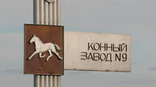 Краевые власти не смогли продать на торгах бывший конезавод в Горном