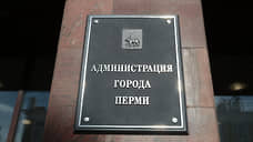 На конкурс по отбору главы Перми заявилась безработная жительница города