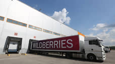 Площадь логистического центра Wildberries в Прикамье может составить 200 тыс. кв. м