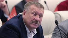 Фракция ЛДПР намерена внести законопроект о создании элитных детских домов