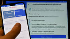 Пермяки стали чаще пользоваться порталом госуслуг