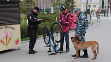В Прикамье выросло количество преступлений и снизилась их раскрываемость