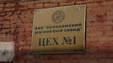 Совет директоров СМЗ рекомендует не выплачивать дивиденды за 2024 год