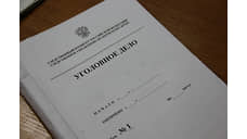 Апелляция «засилила» приговор руководителю пермской общественной организации
