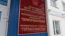 Депутаты гордумы попросили направить им анализ деятельности МУП «ПГЭТ»
